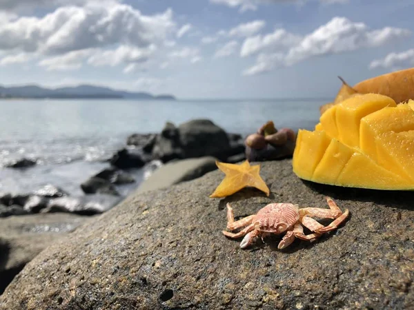 Sappige verse Thai fruit mango, mangostan, ananas en papaya op een steen tegen de zee en bewolkte blauwe hemel in de middag — Stockfoto