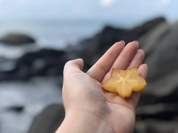 Šťavnaté čerstvé thajské ovoce mango, ananas, mangosteen, papája na kámen proti moři a modrou oblohou v odpoledních hodinách — Stock fotografie