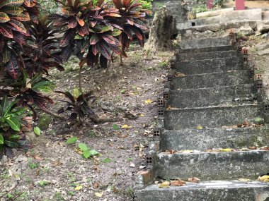 Güneşli bir günde Tayland ormanında antik adımlar, aşağıdan yukarıya görünümü