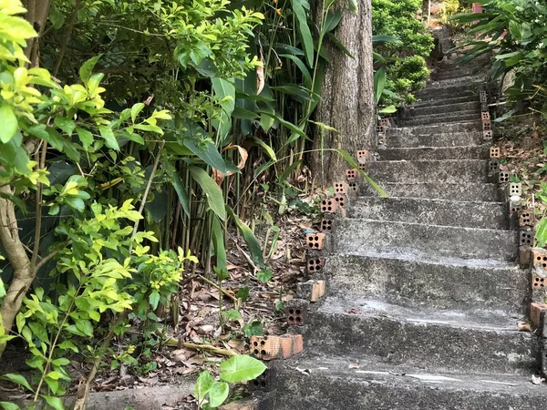 Uralte Schritte im Dschungel von Thailand an einem sonnigen Tag, ein Blick von unten nach oben — Stockfoto