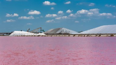 Aigues-Mortes, Salins du Midi, tuzlu bataklıklı panorama 