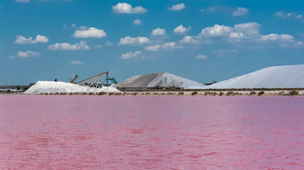 Aigues Mortes Salins Midi Panorama Med Salta Kärr — Stockfoto