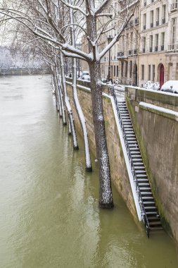     Paris altında kar ve sel, sular altında quays, ağaçların altında su, kışın Seine 