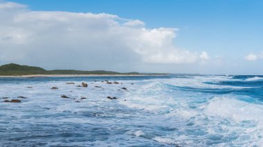     Guadeloupe, panorama pointe des Chateaux, güzel deniz manzarası adanın gelen