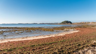    Morbihan Körfezi, Brittany, kış, güneşli gün Beach'te düşük tide Panoraması 