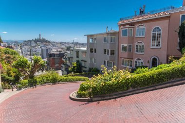     San Francisco, ünlü Lombard Street, Rus Hill, Coit ile sokakta sarma arka planda kule 