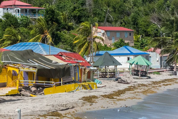 Guadelupa Insulele Sfinților Plaja După Ciclon Devastare — Fotografie, imagine de stoc