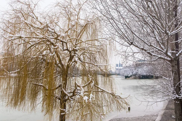 Paříž Pod Sněhem Záplav Zaplavila Nábřeží Stromy Pod Vodou Seine — Stock fotografie