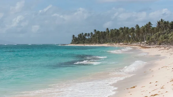 Guadeloupe Krásné Pláže Ostrově Marie Galante Panorama — Stock fotografie