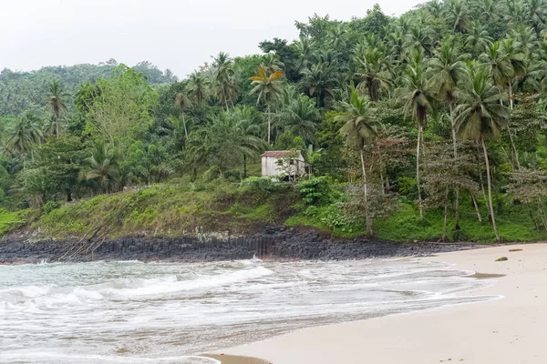 Sao Tome Typisches Haus Strand Palmen Auf Der Klippe — Stockfoto