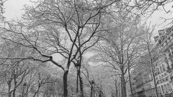 Paříž Pod Sněhem Krásné Fasády Zimě — Stock fotografie