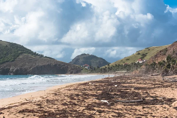 Guadelupa Insulele Sfinților Plaja După Ciclon Devastare — Fotografie de stoc gratuită