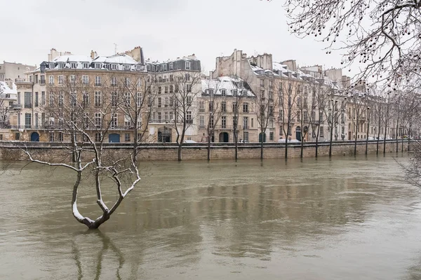 París Bajo Nieve Las Inundaciones Muelles Inundados Árboles Bajo Agua —  Fotos de Stock