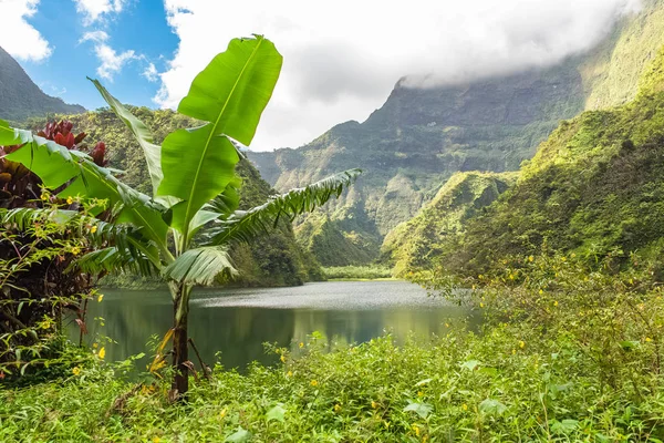 Tahiti Frans Polynesië Vaihiria Meer Papenoo Vallei Bergen Weelderige Struikachtige — Gratis stockfoto