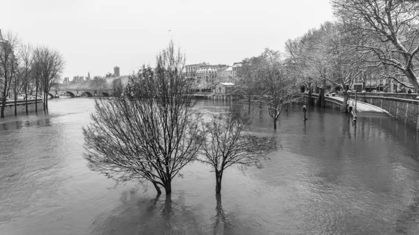 Paris Snö Och Översvämningar Översvämmade Kajer Träd Vattnet Seine Vinter — Stockfoto