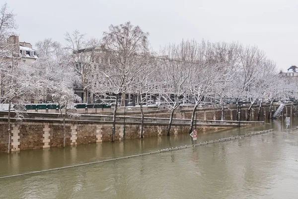 Париж Під Снігом Повеней Затоплені Причали Дерева Під Водою Сени — стокове фото