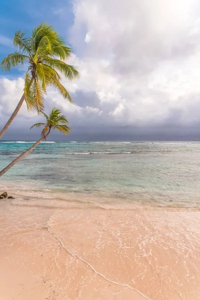 Гваделупа Красивая Панорама Пляжа Розовым Песком Острове Мари Галанте Закат — стоковое фото