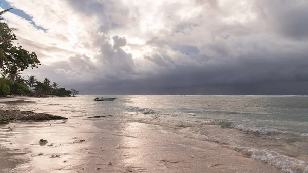 Guadeloupe Nádherné Panorama Růžový Písčité Pláže Marie Galante Ostrov Západ — Stock fotografie