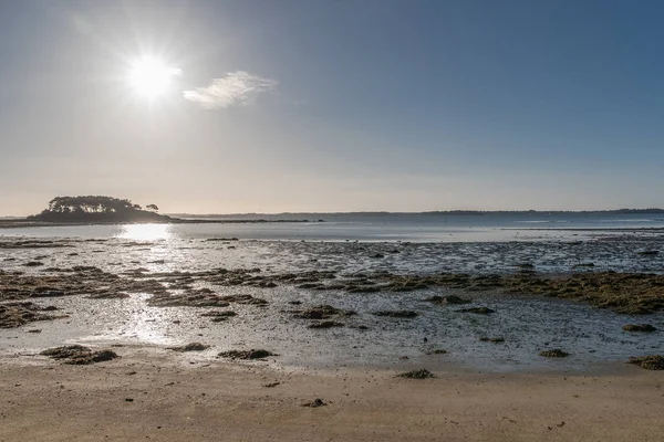 Golf Von Morbihan Der Bretagne Blick Auf Den Strand Bei — Stockfoto