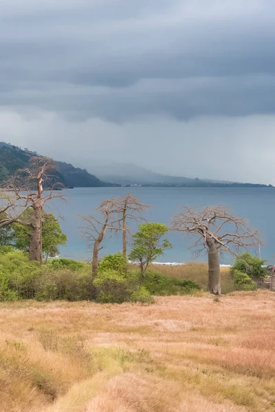 Sao Tome Wunderschöne Landschaft Panorama Norden Der Insel Lagune Azul — kostenloses Stockfoto