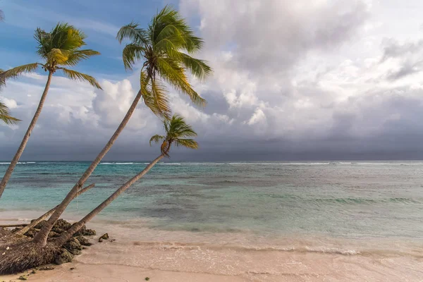 Guadeloupe Nádherné Panorama Růžový Písčité Pláže Marie Galante Ostrov Západ — Stock fotografie