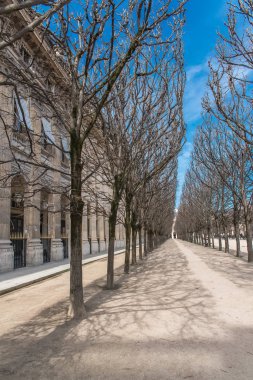     Paris, Palais Royal gardens, güzel cephe 