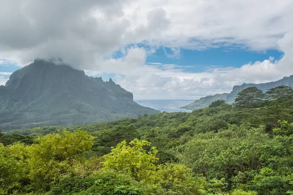 Moorea Polynesia Opunohu Belvedere Beautiful Panorama Sea Two Bays Mountain — Stock Photo, Image