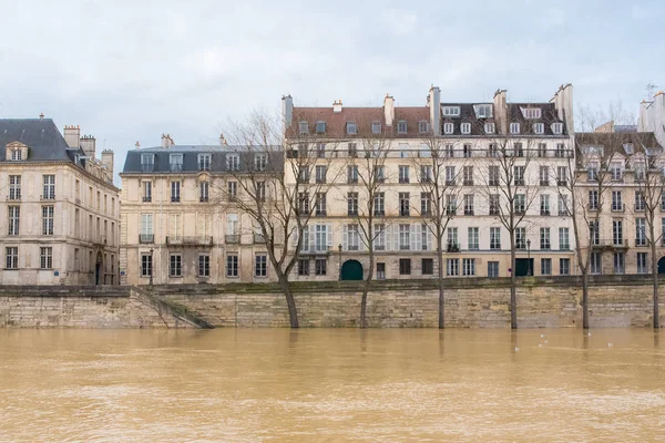 Paris Seller Altında Seine Kıyısında Sualtı Ağaçlar — Stok fotoğraf