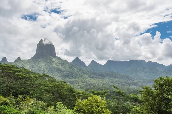 Moorea Polynesia Opunohu Belvedere Beautiful Panorama Mountains — Stock Photo, Image