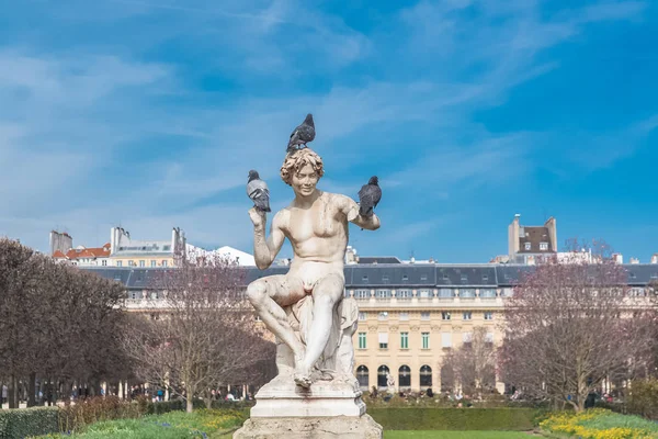 París Jardines Del Palais Royal Jardín Público Pájaros Puestos Una — Foto de Stock