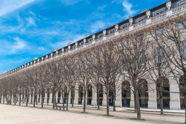     Paris, Palais Royal gardens Genel Bahçe, güzel bir sokakta bahar bakış 