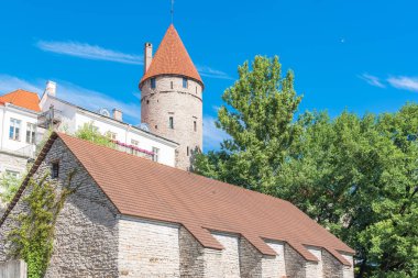     Tallinn, Estonya, renkli Ortaçağ kenti, tipik binalar evler 