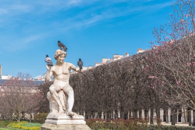     Paris, Palais Royal, kuşlar bir heykelin üzerine koymak bahar bahçe, kamu bahçeleri 