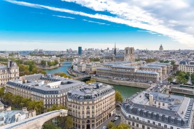     Paris, Notre-Dame Katedrali Ile de la Cite, Seine ve Belediye Binası ve Saint-Jacques kuleye ön planda bir çirkin yaratık üzerinde Panoraması 