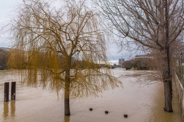     Paris, seller altında Seine kıyısında sualtı ağaçlar 