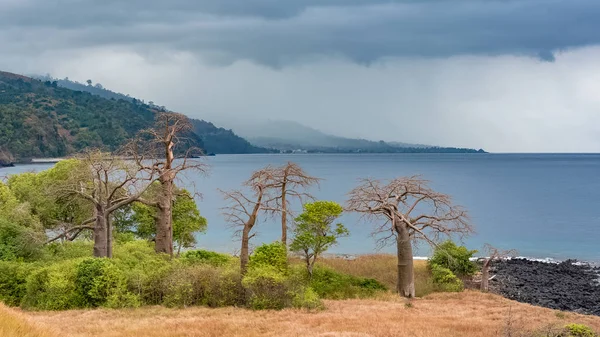     Sao Tome ve Principe, Lagoa Azul Sao Tome adada baobab ağaçları ile güzel manzara 