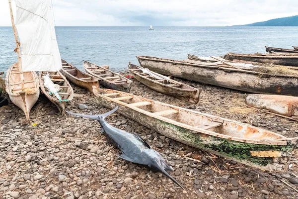 Sao Tome Săpături Tradiționale Lemn Plajă Într Sat Pescari Pește — Fotografie, imagine de stoc