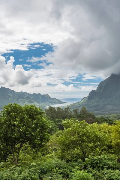 Муреа Полинезии Opunohu Belvedere Красивая Панорама Гор — стоковое фото