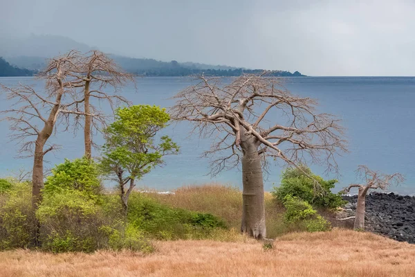 São Tomé Príncipe Lagoa Azul Ilha São Tomé Bela Paisagem — Fotografia de Stock Grátis