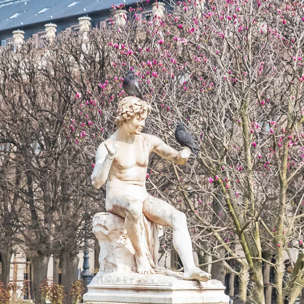 Paris Jardins Palais Royal Jardim Público Pássaros Colocados Uma Estátua — Fotografia de Stock