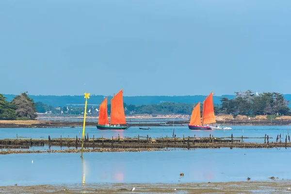 Sinagot Barco Tradicional Golfo Morbihan Isla Ile Aux Moines — Foto de Stock