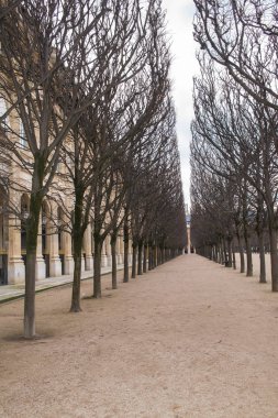     Paris, Palais Royal gardens Genel Bahçe, güzel bir sokak bakış 