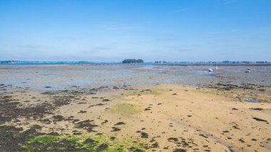     Brittany, düşük tide plaj, panorama Morbihan Körfezi 