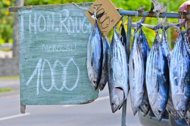     Fishes sold on the road, market stall, Polynesia  clipart