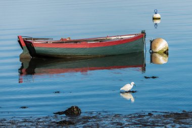     Kayık, beyaz tekne ve Brittany, balıkçıl Shore ile camsı bir denizi şamandıra