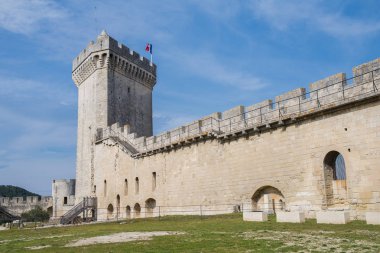     Beaucaire, in the Gard, France, the tower of the castle  clipart