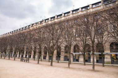     Paris, Palais Royal gardens Genel Bahçe, güzel bir sokak bakış 