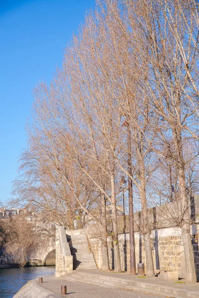 Parigi Veduta Della Senna Dell Ile Cite Con Cattedrale Notre — Foto Stock