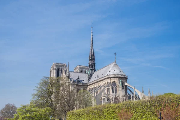 Paris Notre Dame Cathedral Ile Cite — Stock Photo, Image