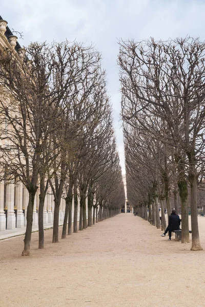 Παρίσι Κήπους Του Palais Royal Δημοτικός Κήπος Όμορφη Προοπτική Ένα — Φωτογραφία Αρχείου